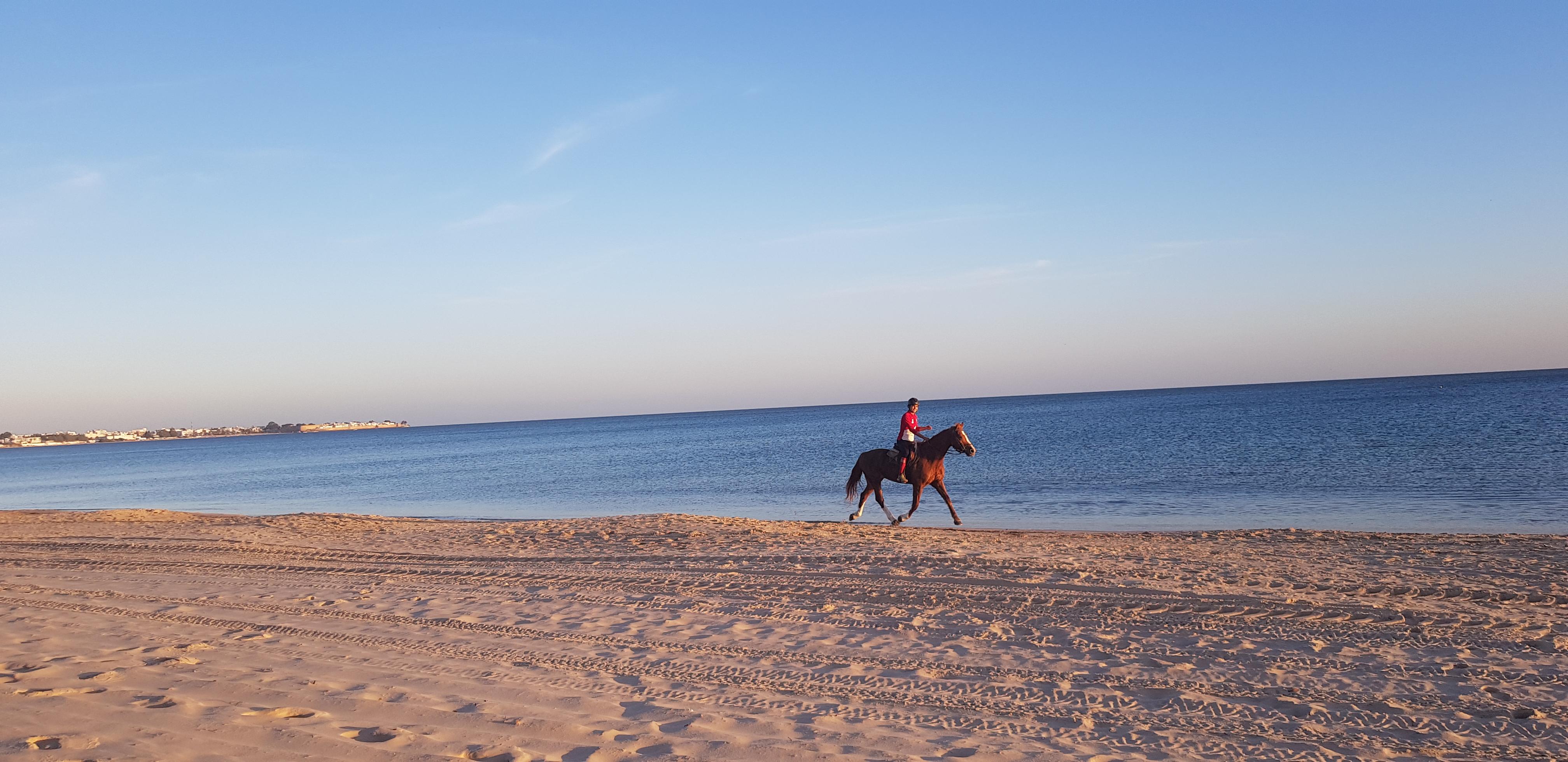 Les Orangers Garden Villas And Bungalows Ultra All Inclusive Hammamet Exterior foto Beach in the village
